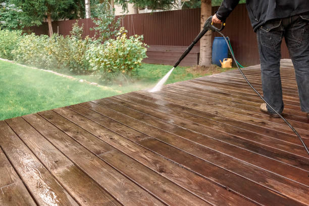 Animal Enclosure Cleaning in Hallandale Beach, FL